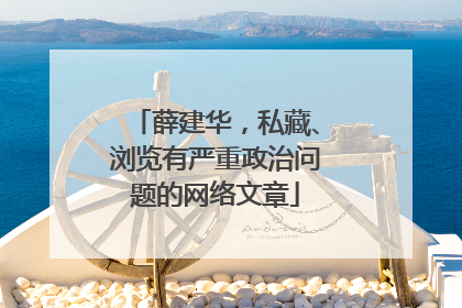 薛建华，私藏、浏览有严重政治问题的网络文章
